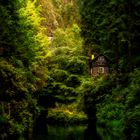 Edmunds Klamm im Sonnenlicht