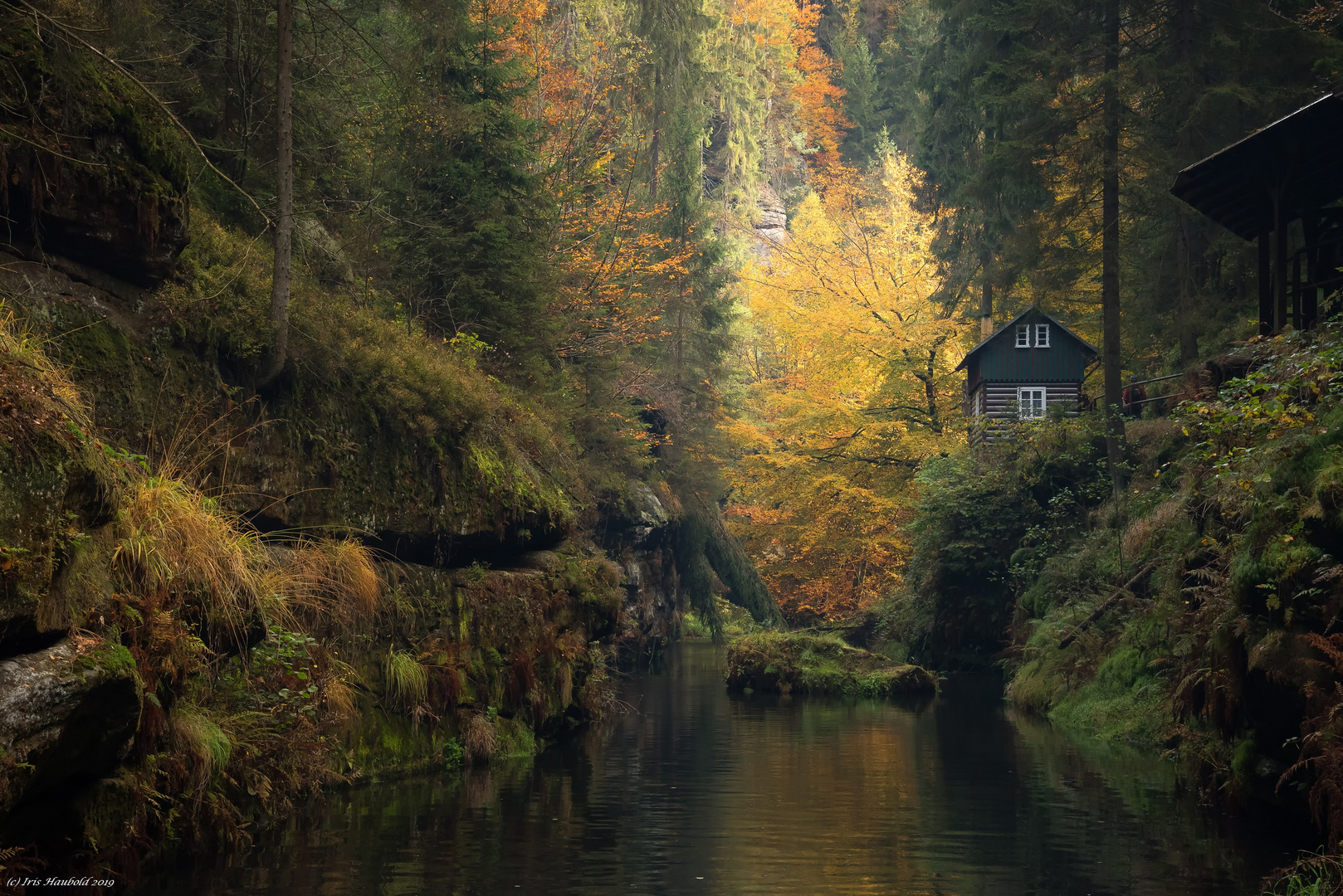 Edmundsklamm im Oktober