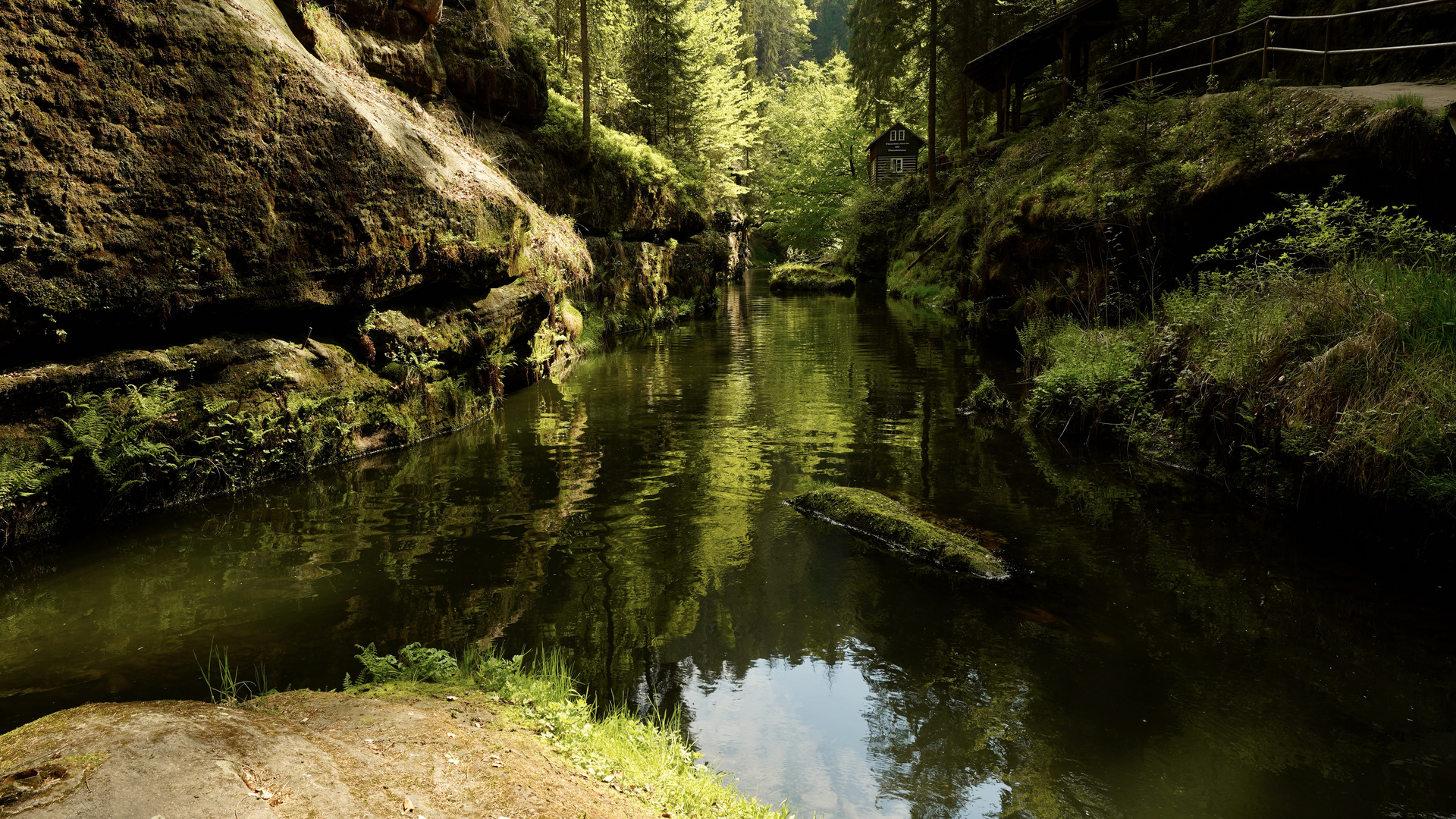 Edmundsklamm in der Böhmischen Schweiz