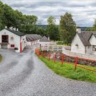 - Edradour Distillery -