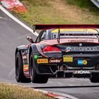 EDS_081317082018 Walkenhorst Motorsport Z4 GT3 Nr.50.VLN 2018!