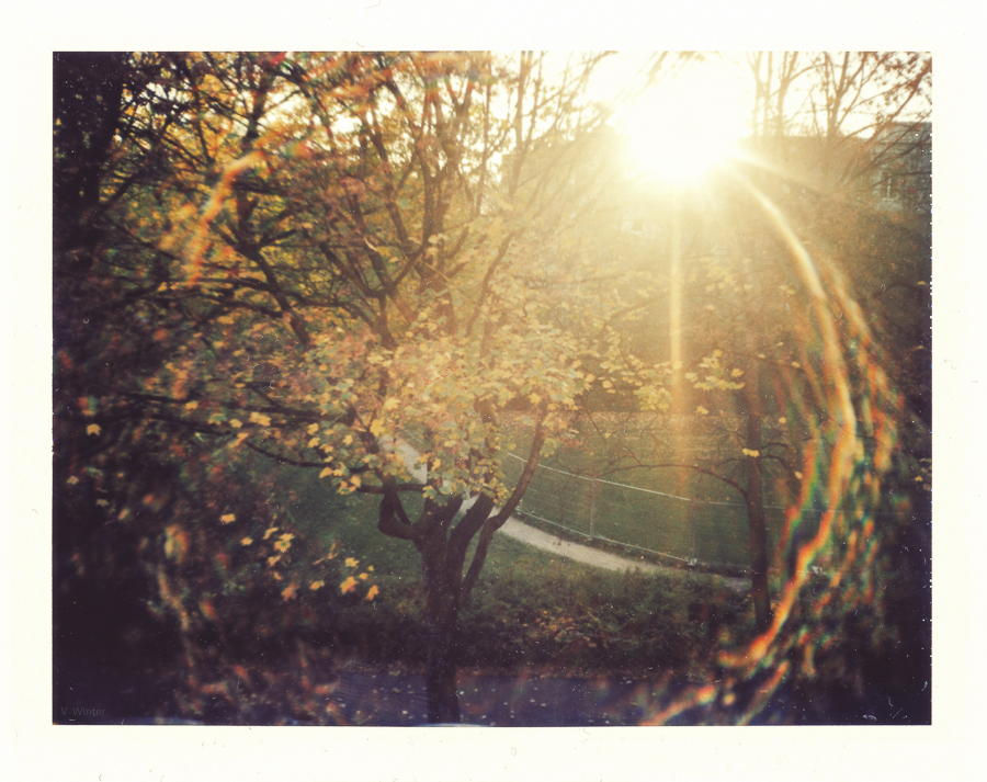 EE 66 Polaroid - Herbstsonne