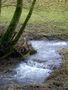 "Hochwasser" am Bach by Lothar Pilgenröder