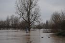 Hochwasser 01.2018  von colonia1997