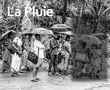 Jury-Voting Concours La Pluie