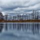 Sptherbst am Stafforter Baggersee