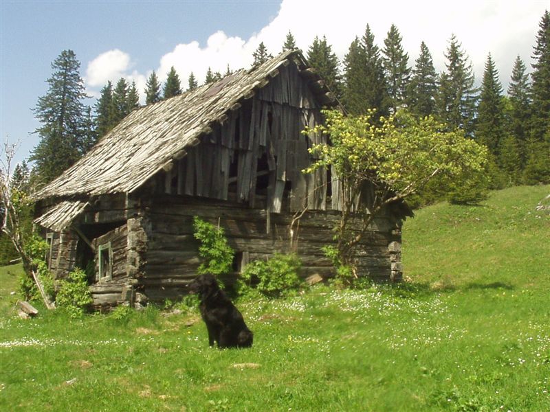 EEE....Ein Einöd Edelbodenalm