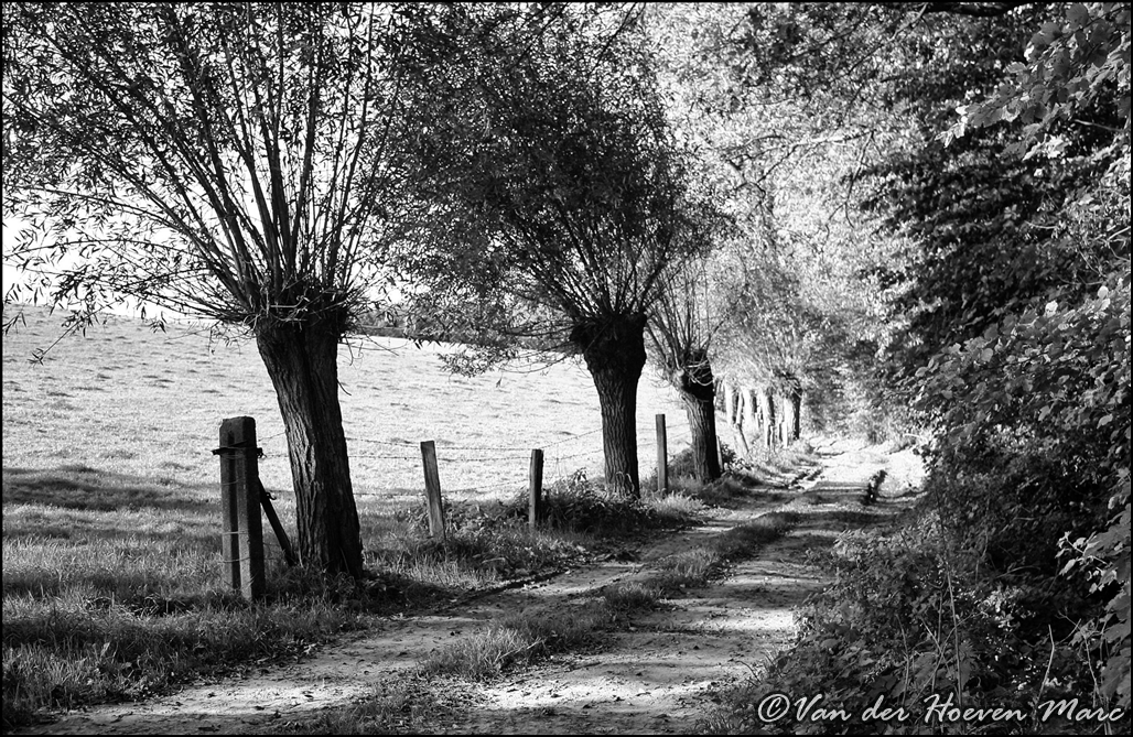 Een oud Vlaams landschap