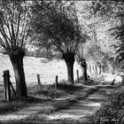 Een oud Vlaams landschap