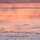 Eerie dusk on the bay