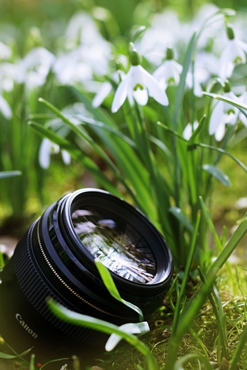 EF 85mm 1.8 - snowdrop