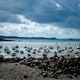 En attendant la mare / Low Tide