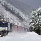 EF64 1004 mit Güterzug in Japan