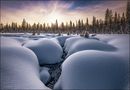 Die Tundra trifft die Taiga ... von Andreas Hinzer