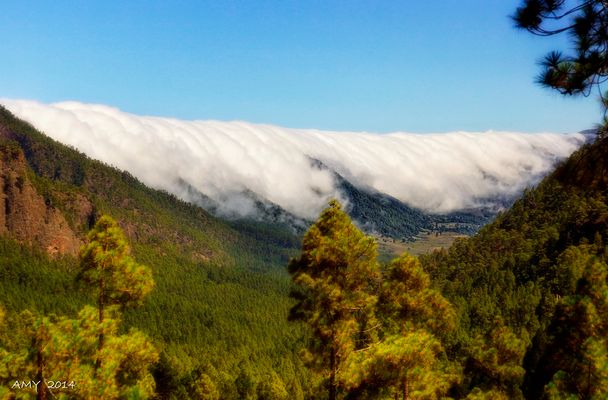 EFECTO FOEHN ....... EL TÚNEL DEL TIEMPO  ( ISLA DE LA PALMA) . Dedicada a MARIA ENGRACIA VARONA.