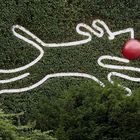 Efeu-Hund mit rotem Ball