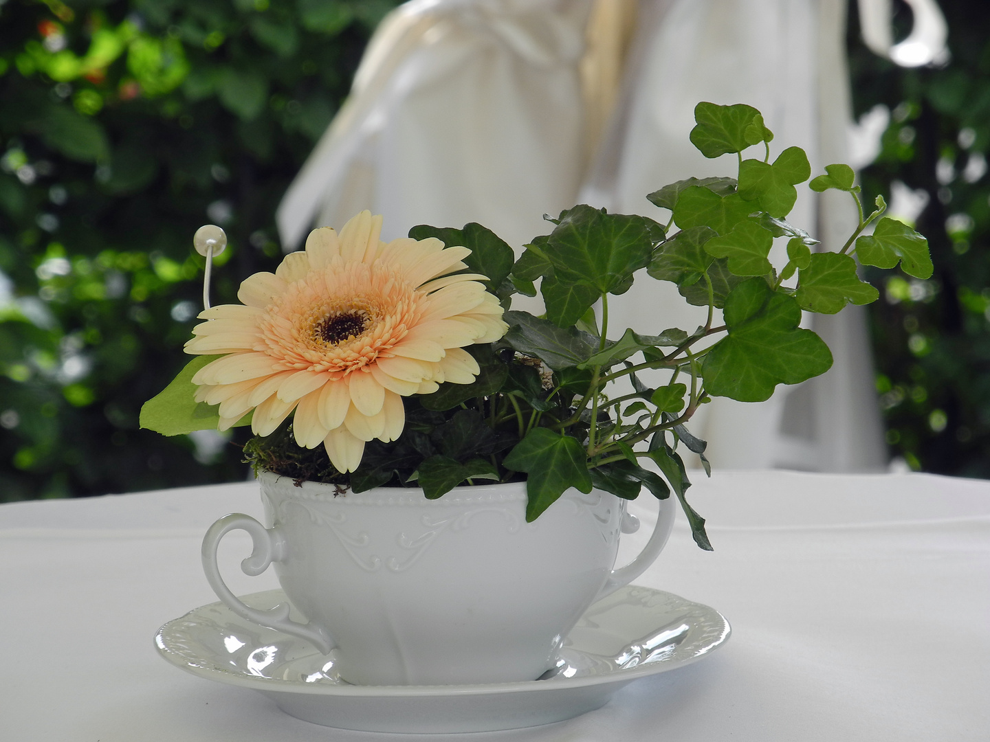 Efeusuppe mit Gerbera