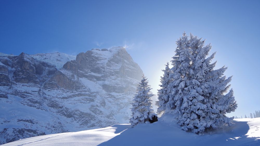 Eingefrorenes Alpenglühen von bjuergens