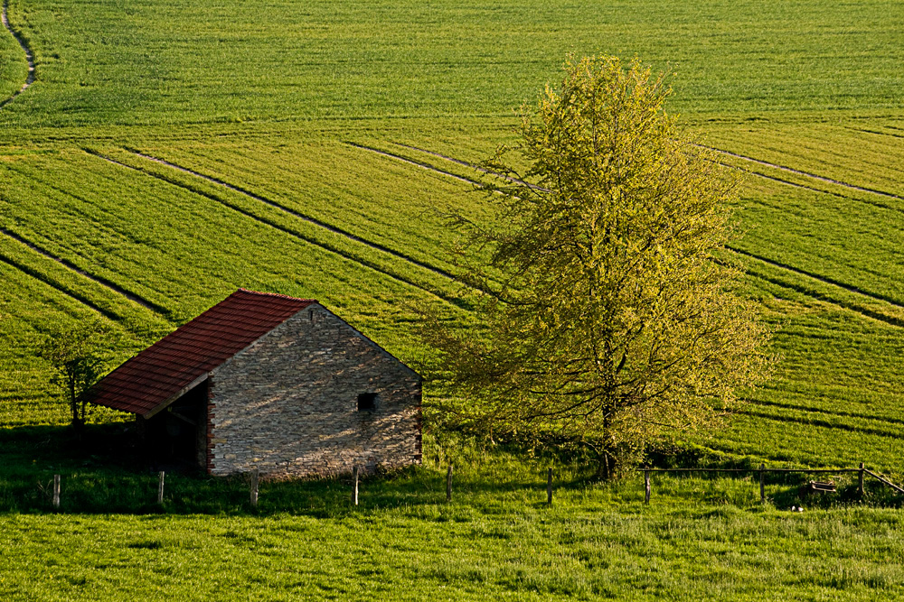 Effelner Wäldchen II