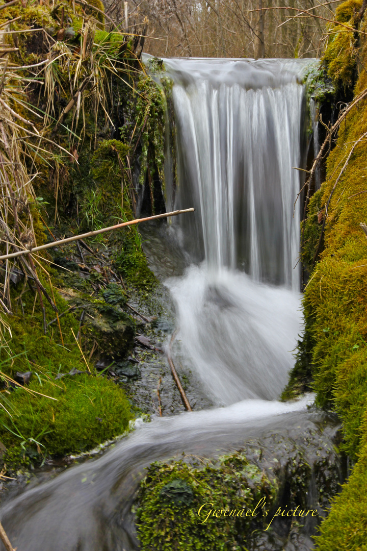 Effet cascade