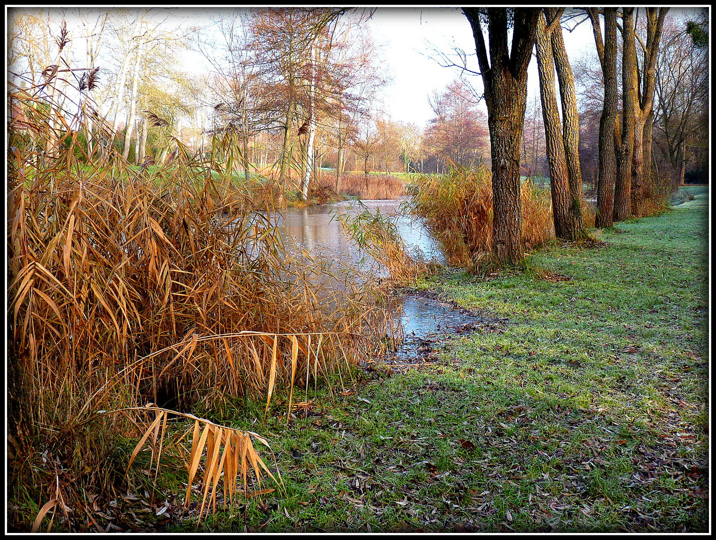 EFFET - DE - GLACE - 2 -