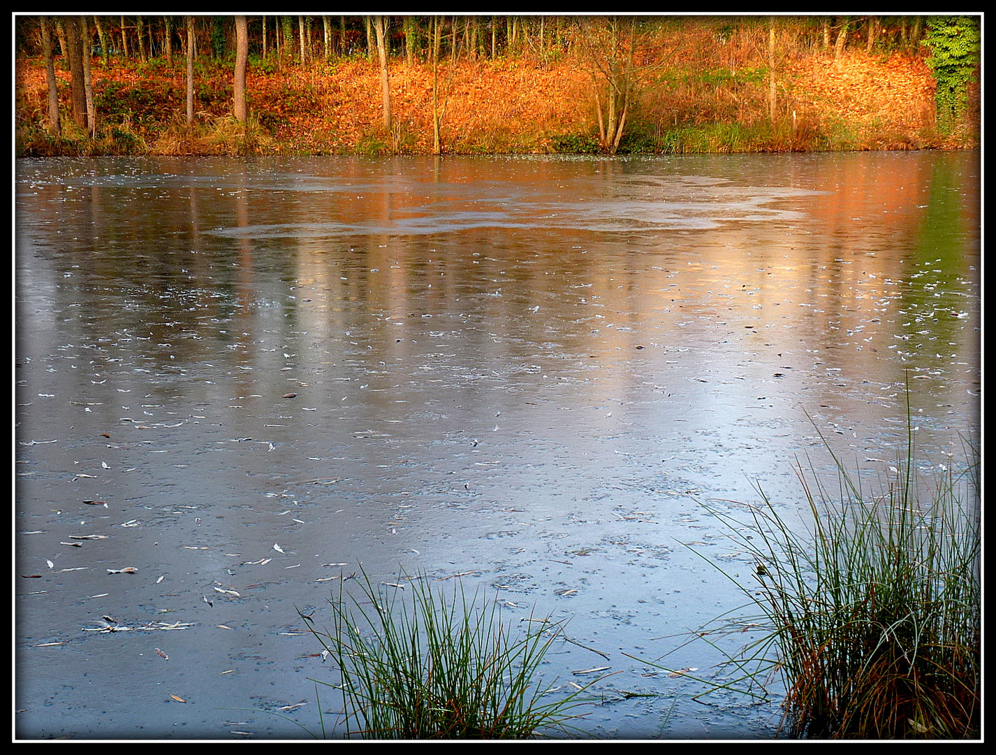 EFFET - DE - GLACE - 4 -