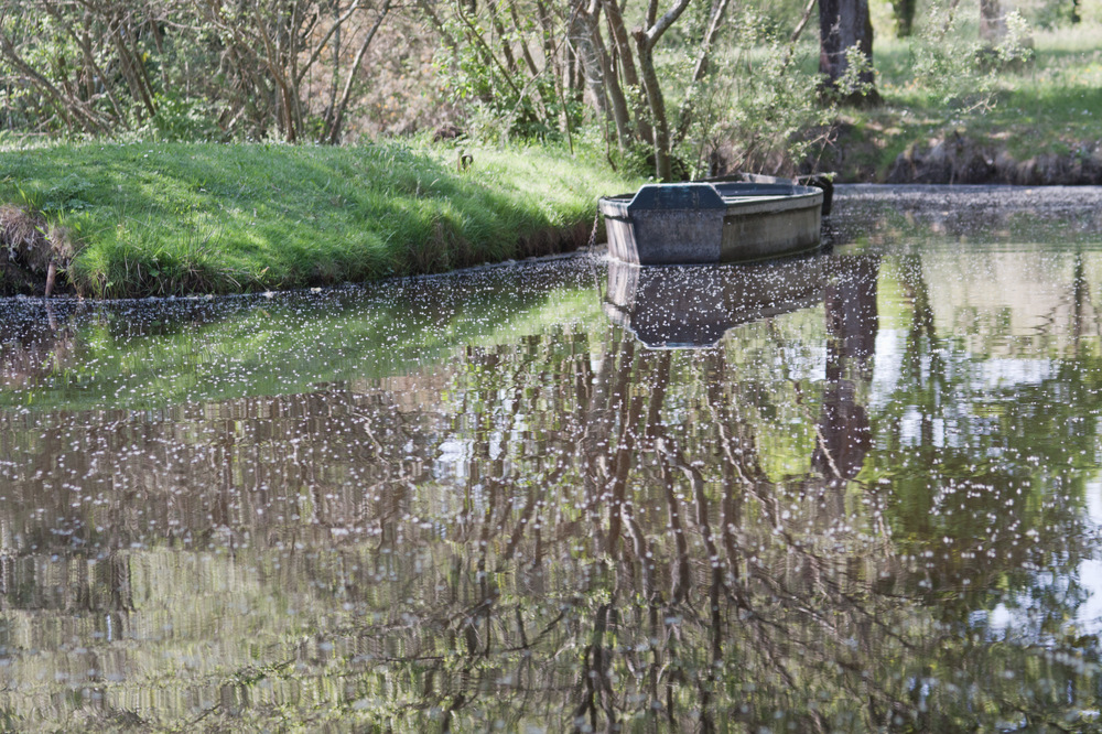 effet miroir