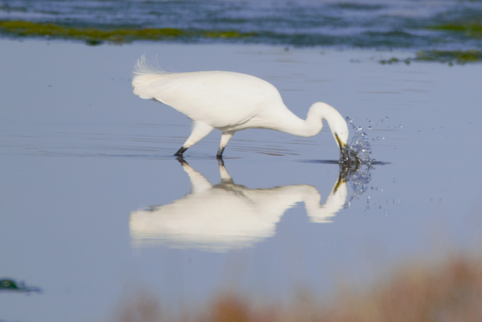 Effet miroir...