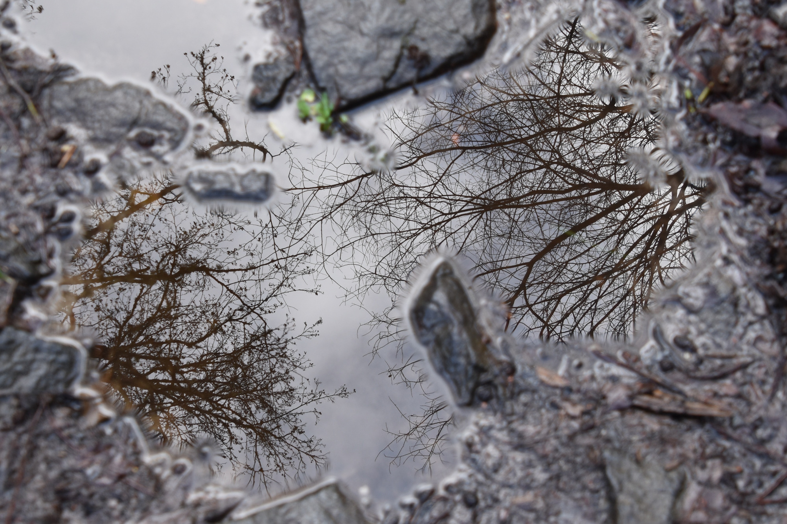 Effet miroir de l'eau....