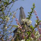 Effet printemps sur Eiffel