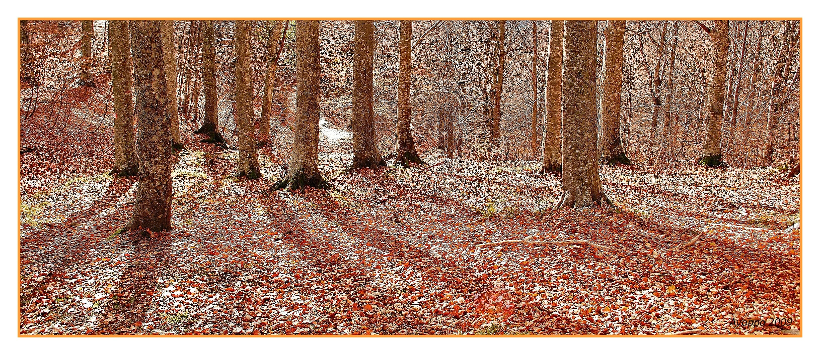 Effetto Autunno