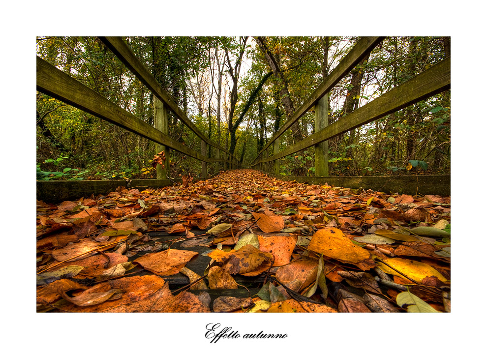 Effetto autunno