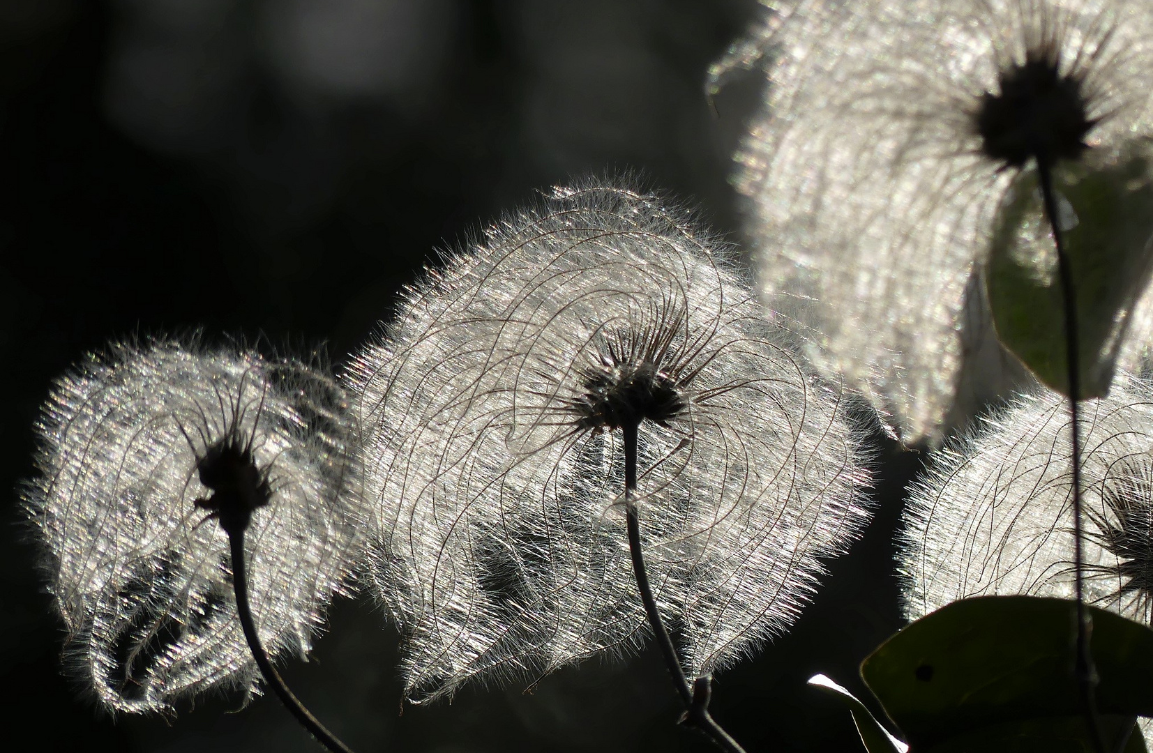 Effleurement de lumière