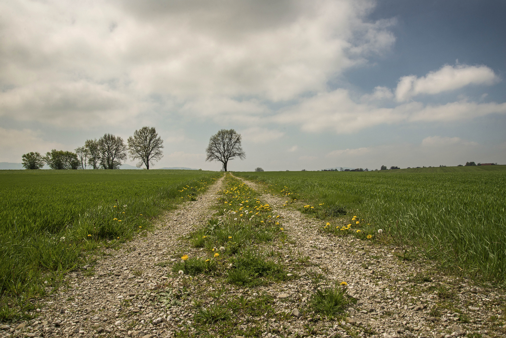 Egal wie weit der Weg...