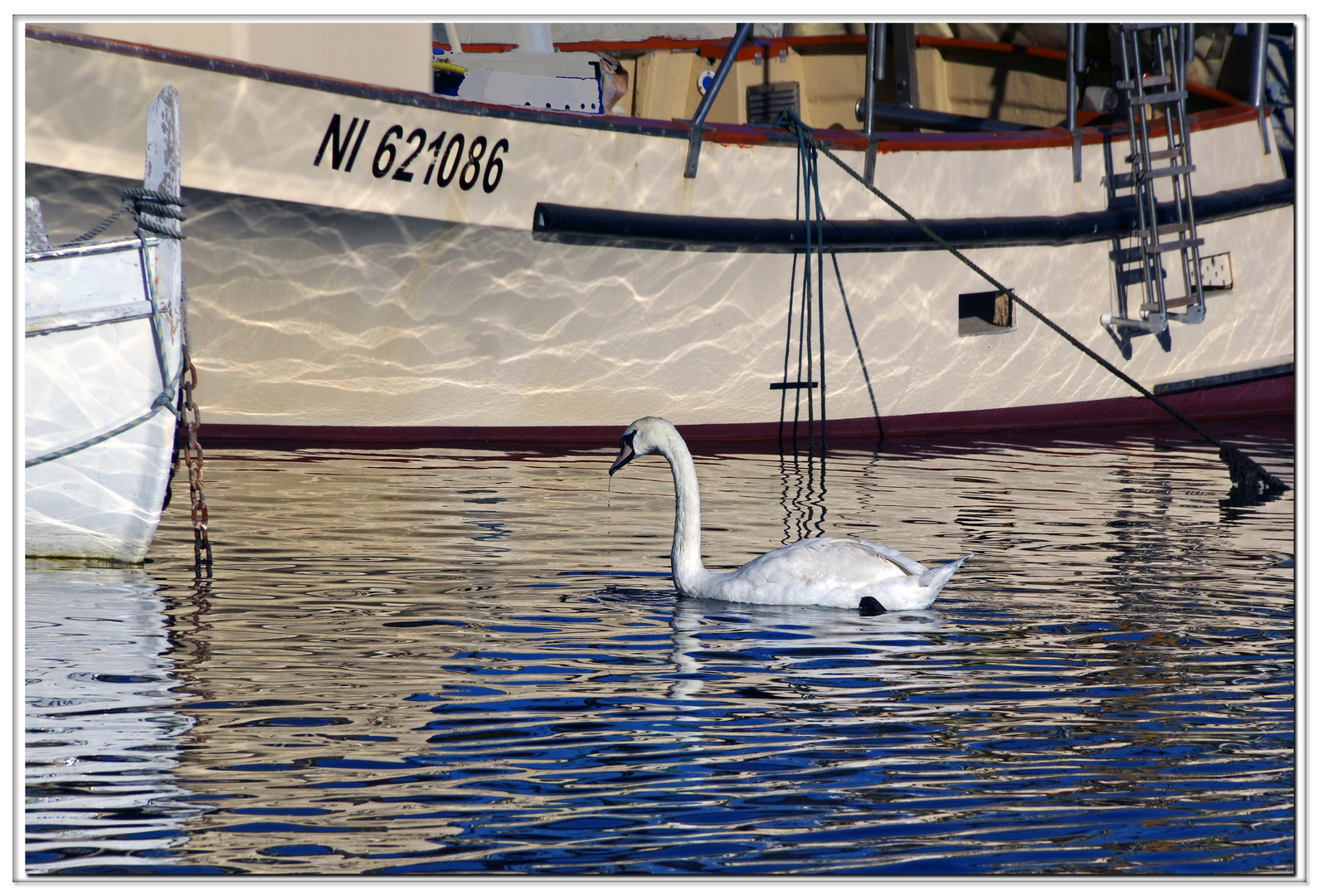 egaré  au vieux port de cannes??