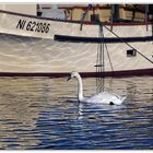 egaré  au vieux port de cannes??