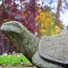 Egbert - unsere Steinschildkröte