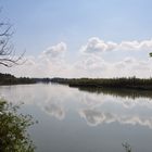 Egelsee am Unteren Inn