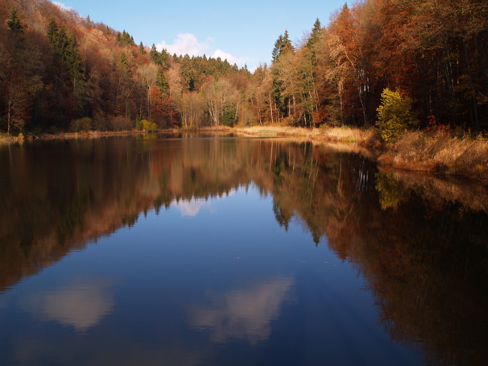 Egelsee im schoenen Aargau (CH)