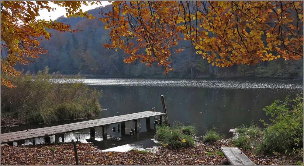 Egelsee, unser Waldweiher