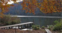 Egelsee, unser Waldweiher