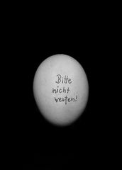 -Egg-