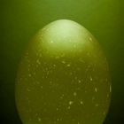 Egg