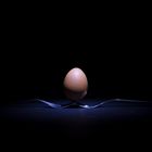 Egg