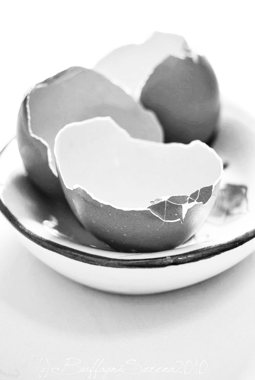 Egg shells