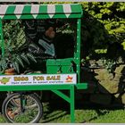 egg stall glaisdale