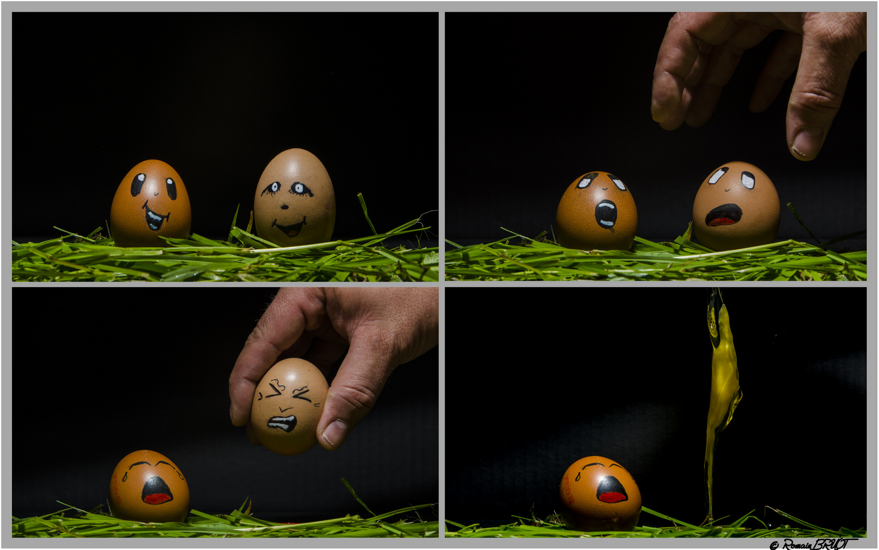 Egg story