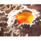 egg subsides in flour