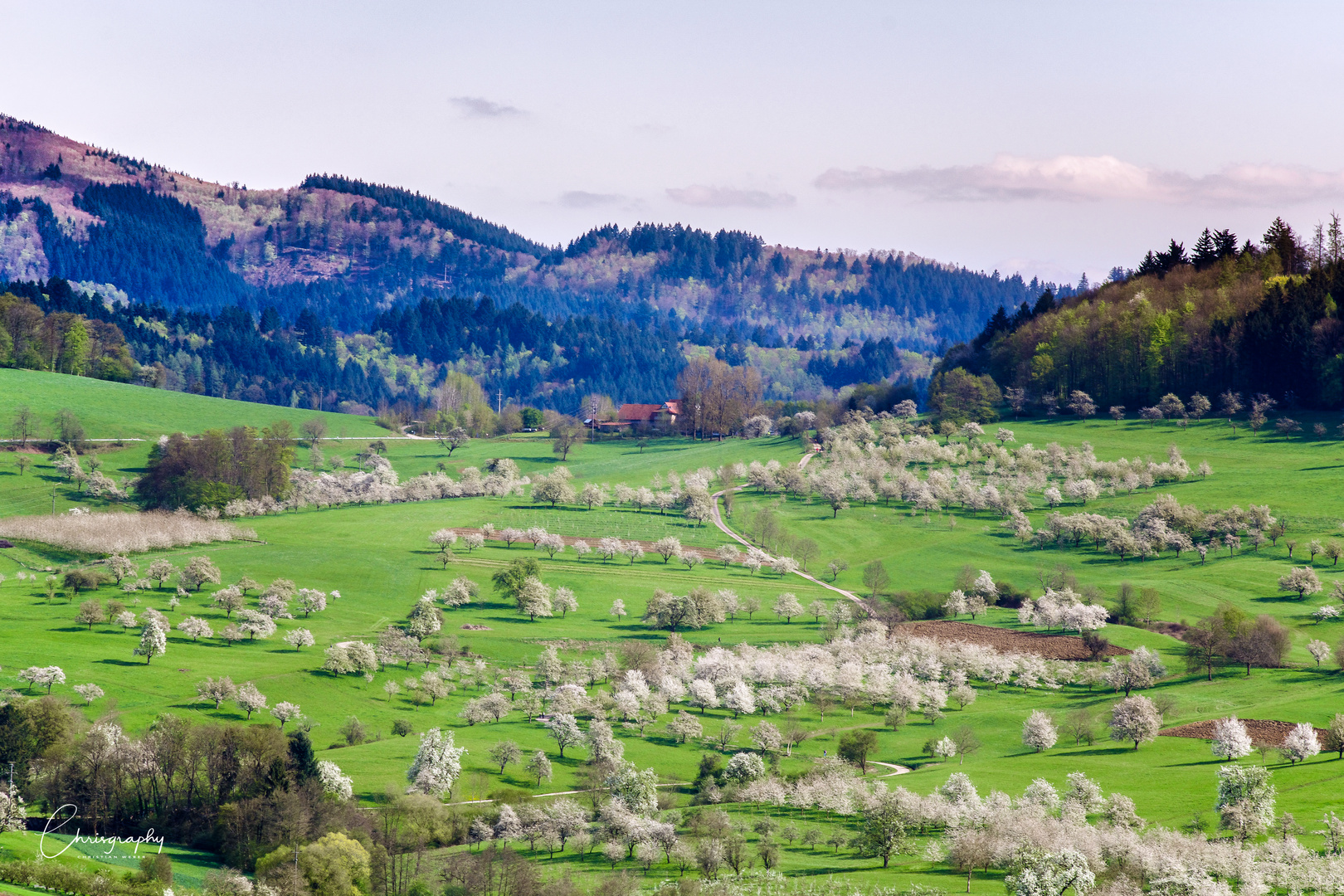 Eggenertal im Frühling