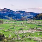 Eggenertal im Frühling